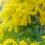 T2 Rez De Jardin Proximite Et Centre דירה