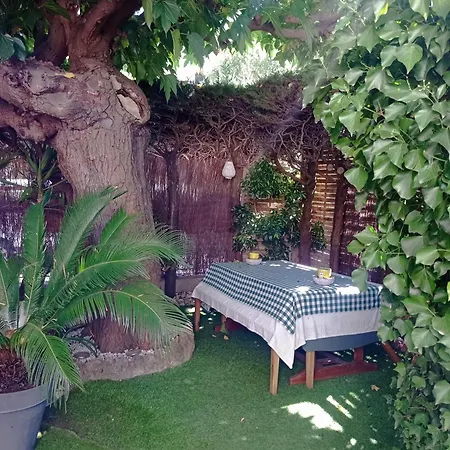 T2 Rez De Jardin Proximite Et Centre