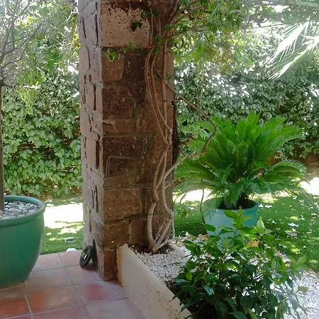 公寓 T2 Rez De Jardin Proximite Et Centre
