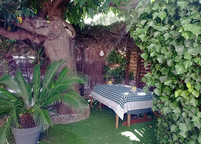 T2 Rez De Jardin Proximite Et Centre