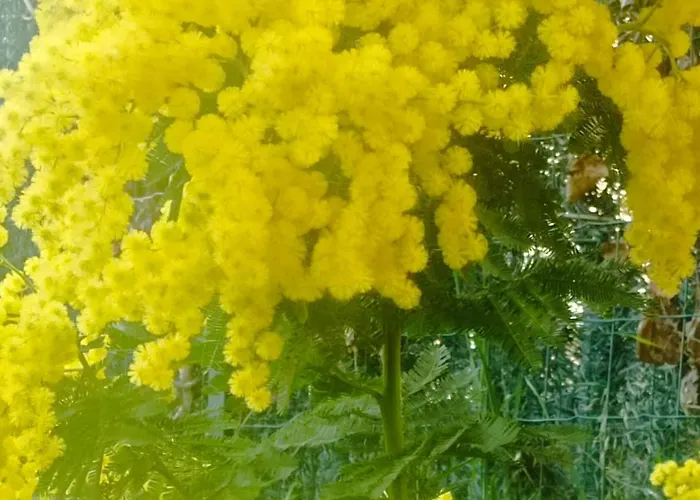 T2 Rez De Jardin Proximite Et Centre Apartment